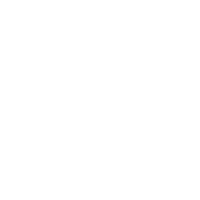 自主研發