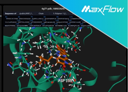 分子對接1.png